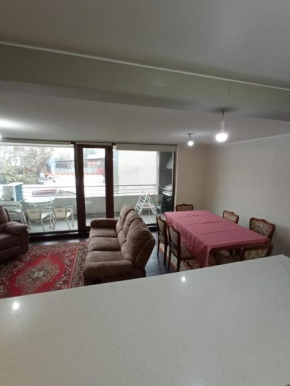Departamento Centro Pucón